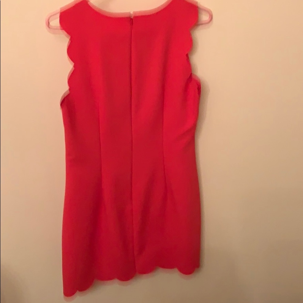 Jcrew Spring/Summer Dress - Picture 3 of 3